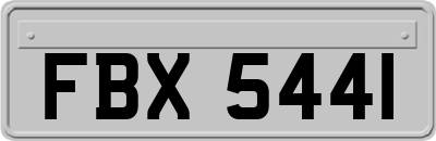 FBX5441