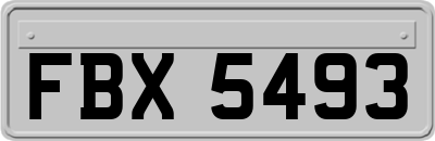 FBX5493