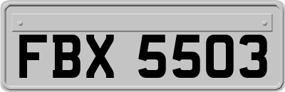 FBX5503