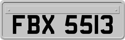 FBX5513