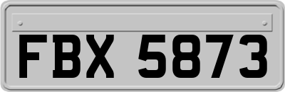 FBX5873