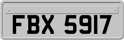FBX5917