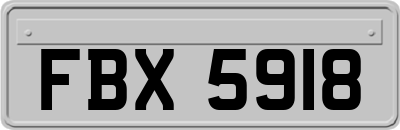 FBX5918