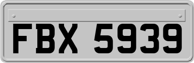 FBX5939