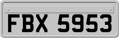 FBX5953