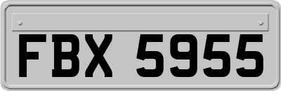 FBX5955