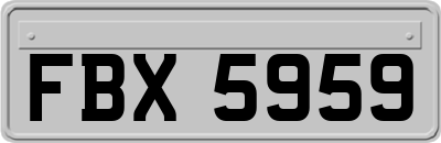 FBX5959