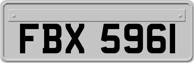 FBX5961