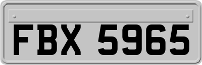 FBX5965