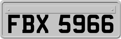FBX5966