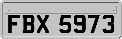 FBX5973
