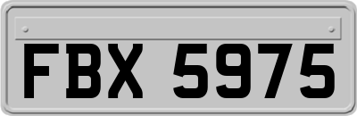 FBX5975
