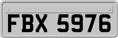 FBX5976