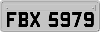 FBX5979