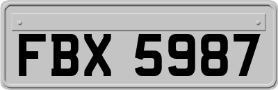FBX5987