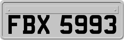 FBX5993