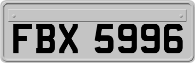 FBX5996