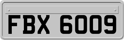 FBX6009