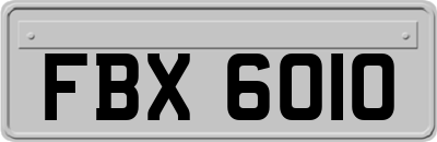 FBX6010
