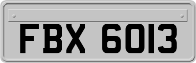FBX6013
