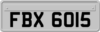 FBX6015