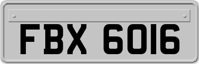 FBX6016