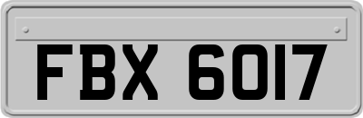 FBX6017