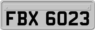 FBX6023