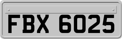 FBX6025