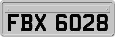 FBX6028
