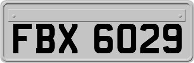 FBX6029