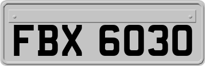 FBX6030