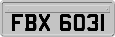 FBX6031