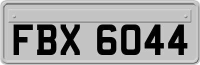 FBX6044