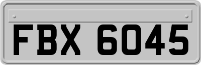 FBX6045