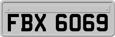 FBX6069