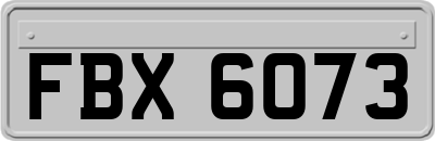 FBX6073