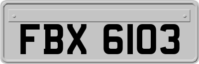 FBX6103