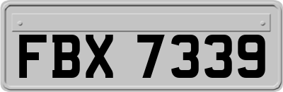 FBX7339