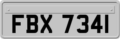 FBX7341