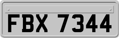 FBX7344