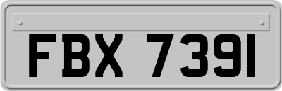 FBX7391
