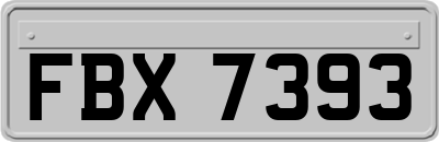 FBX7393