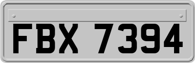 FBX7394