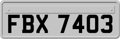 FBX7403