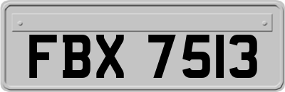 FBX7513