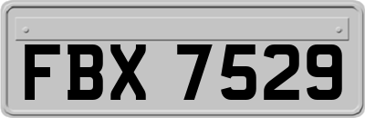 FBX7529