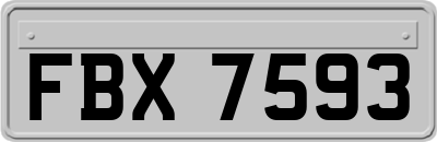 FBX7593