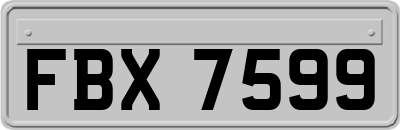 FBX7599