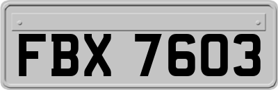 FBX7603